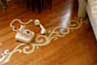 Painted Rug